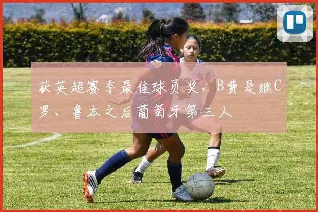 获英超赛季最佳球员奖，B费是继C罗、鲁本之后葡萄牙第三人